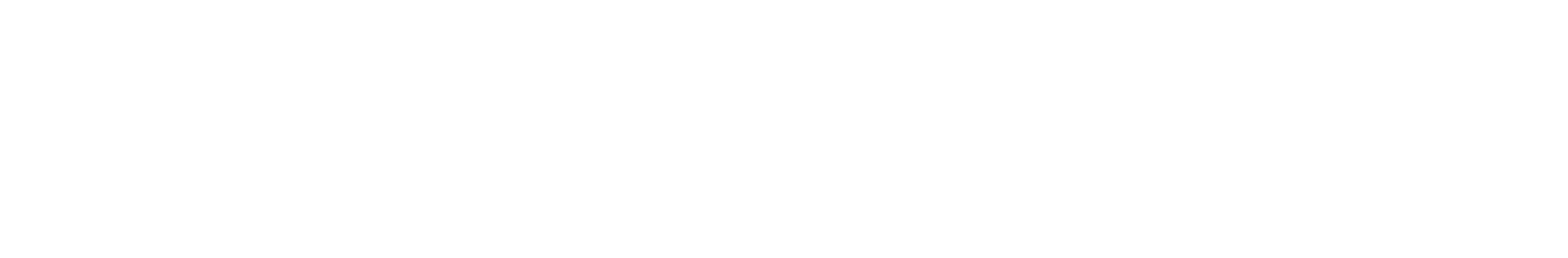 Daniel Ghirasim Logo